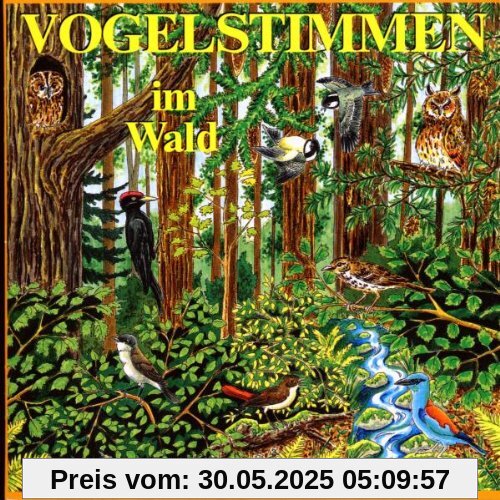 Vogelstimmen im Wald, Ed.4, 1 Audio-CD von Andreas Schulze