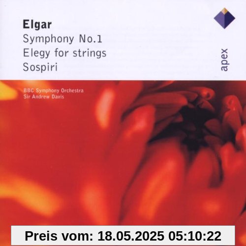Sinf.1/Elegy for Strings/Sospiri von Andrew Davis