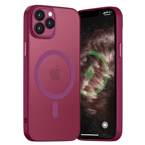 Andwing für iPhone 11 Pro Hülle Magnetisch [Kompatibel mit MagSafe] Matt Anti-Fingerprint Schutzhülle – Stoßfest Militärstandard (MIL-STD-810G), Ultradünn & rutschfest für iPhone 11 Pro-Lila von Andwing