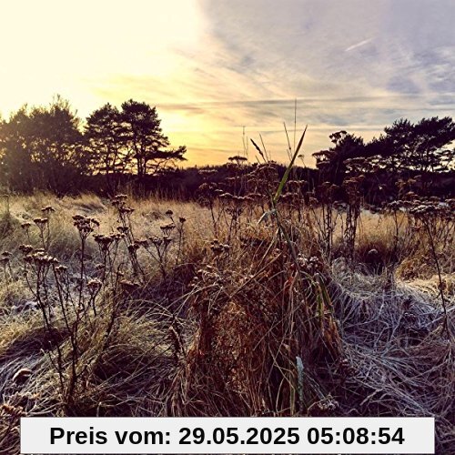 Leave Me Breathless von Ane Brun