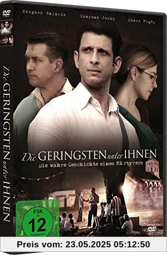 Die Geringsten unter ihnen - Die wahre Geschichte eines Märtyrers von Daniel Aneesh