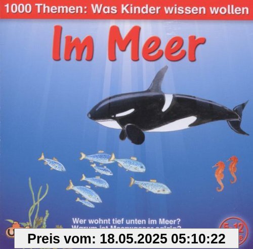 1000 Themen: im Meer von Angela Lenz