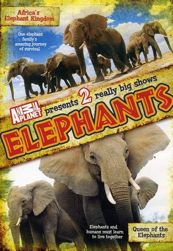 Elephants [DVD] [Import] von Animal Planet