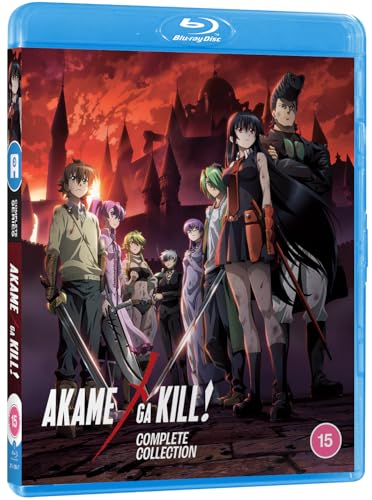Akame Ga Kill! (Standard Edition) [Blu-ray] von Anime Ltd