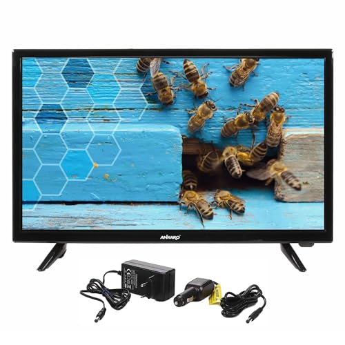 ANKARO ANK CL-2402-24 Zoll LED TV perfekt für Camping - 12V / 230V Betrieb mit Triple Tuner (DVB-S2/ C/ T2) inkl. KFZ Adapter – CI+ Steckplatz, PVR Funktion, HDMI, USB 2.0 von Ankaro