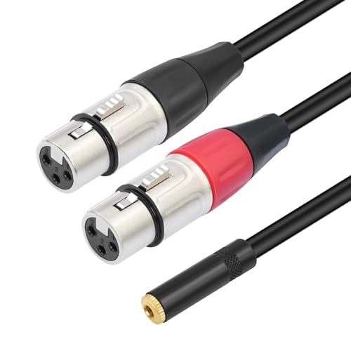 Annadue 1/8 Zoll 3,5 Mm Klinke auf Dual XLR Stereo Mikrofonkabel, 30 Cm, XLR auf Klinke Kabel, Buchse auf Buchse, Y Splitterkabel Annadue 1/8 Zoll 3,5 Mm Klinke auf Dual XLR Stereo Mikrofonkabel, 30 Cm, XLR auf Klinke Kabel, Buchse auf Buchse, Y Splitterkabel von Annadue