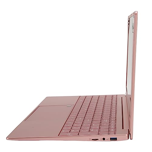 Annadue 15,6-Zoll-Laptop, 2K 1080P IPS-Laptop, Intel Celeron N5095-Prozessor, 12 GB RAM und ROM, 256 GB SSD, WLAN, BT, für Windows 10 (12+256G EU-Stecker) von Annadue