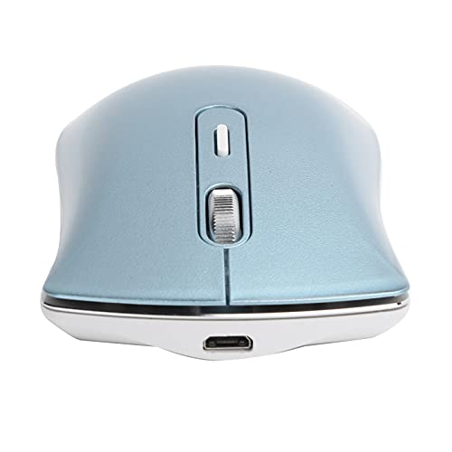 Annadue 2.4G Wireless Mouse, Bluetooth5.0 Ergonomische Maus mit Nano-Empfänger und 3-Gang-DPI Bis zu 1600DPI, Silent Cordless Mouse Gaming-Mäuse mit 4 Tasten für Computer und Laptops (Blau) von Annadue