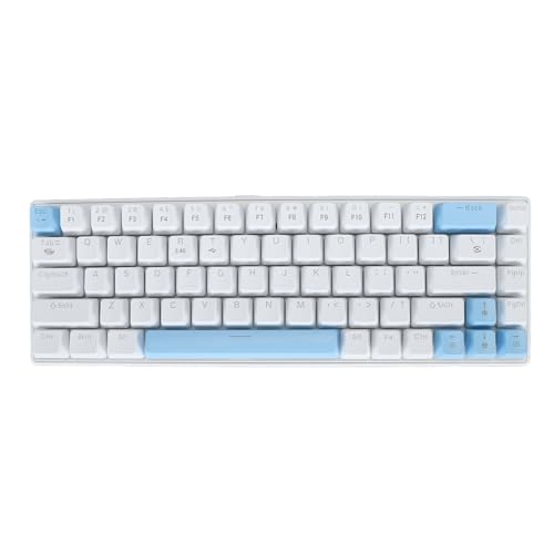 Annadue Mechanische Tastatur mit 61 Tasten, BT5.0 2,4 G USB C RGB-Gaming-Tastatur mit Hintergrundbeleuchtung und 3 Modi, Hot-Swap-fähig für 7 8 10 11, OS X, (Blau und weiß) von Annadue
