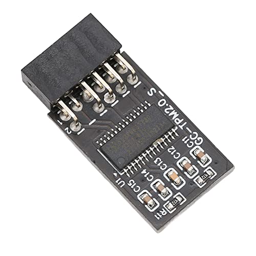 Annadue TPM 2.0-Modul Verschlüsselungssicherheitsmodul LPC 12-poliges Modul Kompatibel mit Remote-Karte LCP SPI TPM2.0-Modul 12-polig für GIGABYTE-Motherboards von Annadue