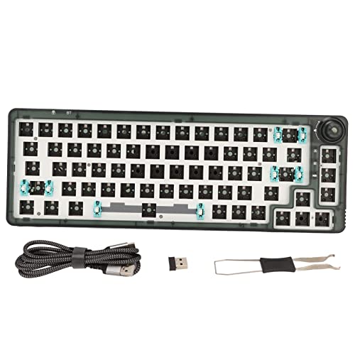 DIY 67 Tasten Hot Swap fähige Modulare Mechanische Tastatur RGB 3 Modi USB C 2 4 GHz Tastatur Zur Individuellen Anpassung BT5.0 Programmierbares Design Knopfsteuerung (Grün) von Annadue