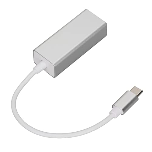 USB Typ C zu RJ45 Netzwerk LAN Adapter Ethernet Adapter Stabile Übertragung USB C zu RJ45 Ethernet Silber Konverter für MacBook Pro für Galaxy S9/S8/ Note 9(100 Billionen) von Annadue