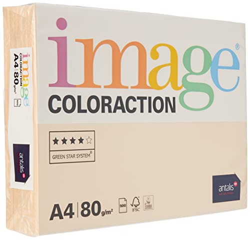 Image Coloraction Savana - farbiges Kopierpapier - DIN A4, 210 x 297 mm, 80 g/m² - buntes, holzfreies Druckerpapier für Kopierer - 500 Blatt - Salm von Antalis