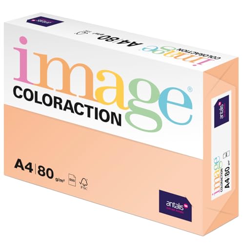 Image Coloraction Savana - farbiges Kopierpapier - DIN A4, 210 x 297 mm, 80 g/m² - buntes, holzfreies Druckerpapier für Kopierer - 500 Blatt - Salm von Antalis