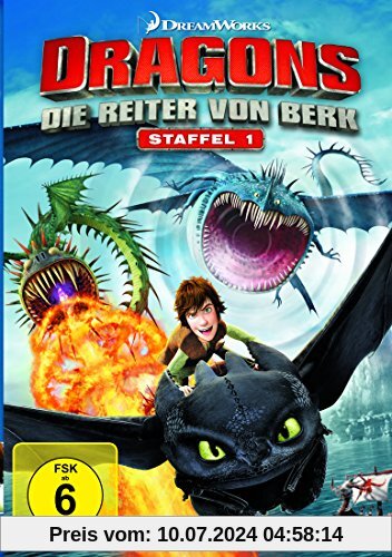 Dragons-Die Reiter von Berk - Staffel 1 [4 DVDs] von Anthony Bell