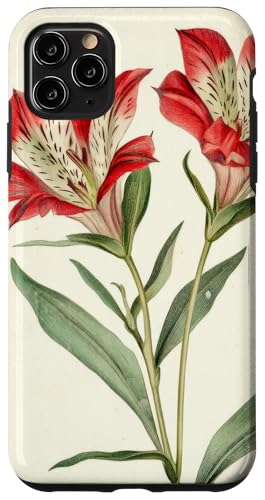 Alstroemeria Floral Vintage Wissenschaftliche Illustration Blume Hülle für iPhone 11 Pro Max Alstroemeria Floral Vintage Wissenschaftliche Illustration Blume Hülle für iPhone 11 Pro Max von Antique Flower Botanical Garden Floral DonaOnca