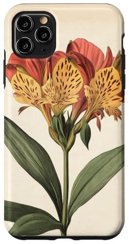Alstroemeria Floral Vintage Wissenschaftliche Illustration Blume Hülle für iPhone 11 Pro Max Alstroemeria Floral Vintage Wissenschaftliche Illustration Blume Hülle für iPhone 11 Pro Max von Antique Flower Botanical Garden Floral DonaOnca