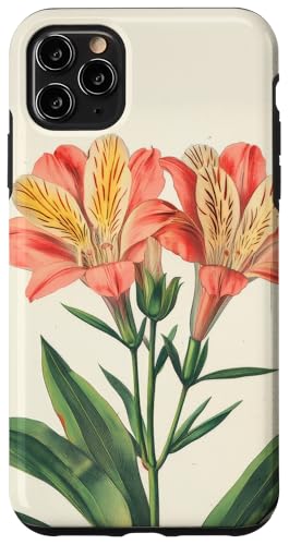 Alstroemeria Floral Vintage Wissenschaftliche Illustration Blume Hülle für iPhone 11 Pro Max Alstroemeria Floral Vintage Wissenschaftliche Illustration Blume Hülle für iPhone 11 Pro Max von Antique Flower Botanical Garden Floral DonaOnca