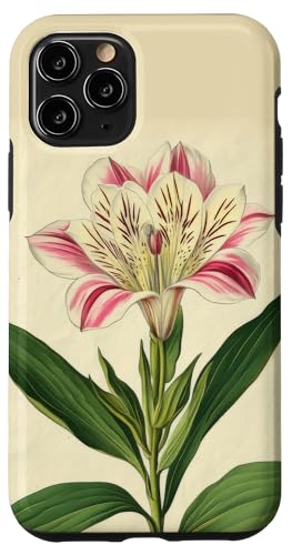 Alstroemeria Floral Vintage Wissenschaftliche Illustration Blume Hülle für iPhone 11 Pro Alstroemeria Floral Vintage Wissenschaftliche Illustration Blume Hülle für iPhone 11 Pro von Antique Flower Botanical Garden Floral DonaOnca
