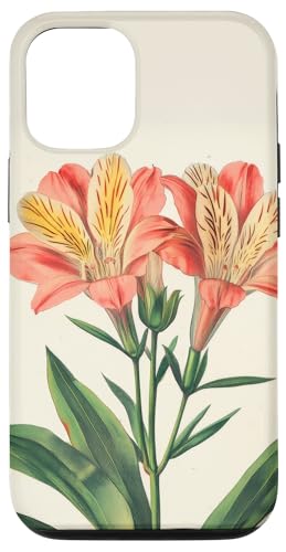 Alstroemeria Floral Vintage Wissenschaftliche Illustration Blume Hülle für iPhone 12/12 Pro Alstroemeria Floral Vintage Wissenschaftliche Illustration Blume Hülle für iPhone 12/12 Pro von Antique Flower Botanical Garden Floral DonaOnca
