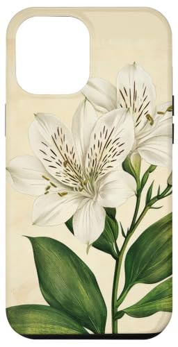 Alstroemeria Floral Vintage Wissenschaftliche Illustration Blume Hülle für iPhone 12 Pro Max Alstroemeria Floral Vintage Wissenschaftliche Illustration Blume Hülle für iPhone 12 Pro Max von Antique Flower Botanical Garden Floral DonaOnca