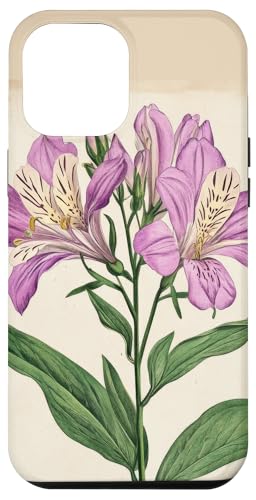 Alstroemeria Floral Vintage Wissenschaftliche Illustration Blume Hülle für iPhone 12 Pro Max Alstroemeria Floral Vintage Wissenschaftliche Illustration Blume Hülle für iPhone 12 Pro Max von Antique Flower Botanical Garden Floral DonaOnca