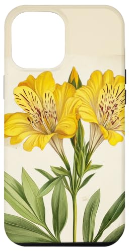 Alstroemeria Floral Vintage Wissenschaftliche Illustration Blume Hülle für iPhone 12 Pro Max Alstroemeria Floral Vintage Wissenschaftliche Illustration Blume Hülle für iPhone 12 Pro Max von Antique Flower Botanical Garden Floral DonaOnca