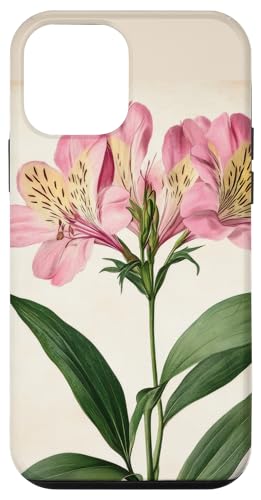 Alstroemeria Floral Vintage Wissenschaftliche Illustration Blume Hülle für iPhone 12 mini Alstroemeria Floral Vintage Wissenschaftliche Illustration Blume Hülle für iPhone 12 mini von Antique Flower Botanical Garden Floral DonaOnca