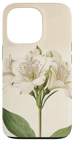 Alstroemeria Floral Vintage Wissenschaftliche Illustration Blume Hülle für iPhone 13 Pro von Antique Flower Botanical Garden Floral DonaOnca