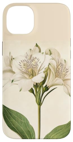 Alstroemeria Floral Vintage Wissenschaftliche Illustration Blume Hülle für iPhone 14 Plus Alstroemeria Floral Vintage Wissenschaftliche Illustration Blume Hülle für iPhone 14 Plus von Antique Flower Botanical Garden Floral DonaOnca