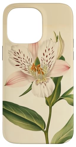 Alstroemeria Floral Vintage Wissenschaftliche Illustration Blume Hülle für iPhone 14 Pro Max Alstroemeria Floral Vintage Wissenschaftliche Illustration Blume Hülle für iPhone 14 Pro Max von Antique Flower Botanical Garden Floral DonaOnca
