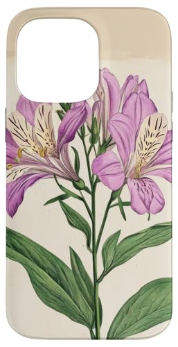 Alstroemeria Floral Vintage Wissenschaftliche Illustration Blume Hülle für iPhone 14 Pro Max von Antique Flower Botanical Garden Floral DonaOnca