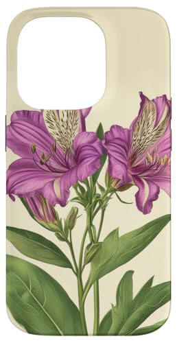 Alstroemeria Floral Vintage Wissenschaftliche Illustration Blume Hülle für iPhone 14 Pro Alstroemeria Floral Vintage Wissenschaftliche Illustration Blume Hülle für iPhone 14 Pro von Antique Flower Botanical Garden Floral DonaOnca