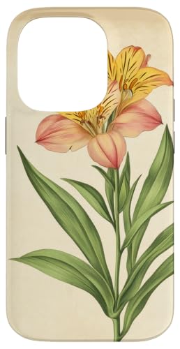 Alstroemeria Floral Vintage Wissenschaftliche Illustration Blume Hülle für iPhone 14 Pro Alstroemeria Floral Vintage Wissenschaftliche Illustration Blume Hülle für iPhone 14 Pro von Antique Flower Botanical Garden Floral DonaOnca
