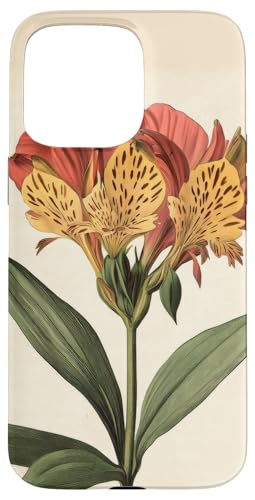 Alstroemeria Floral Vintage Wissenschaftliche Illustration Blume Hülle für iPhone 15 Pro Max Alstroemeria Floral Vintage Wissenschaftliche Illustration Blume Hülle für iPhone 15 Pro Max von Antique Flower Botanical Garden Floral DonaOnca