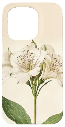 Alstroemeria Floral Vintage Wissenschaftliche Illustration Blume Hülle für iPhone 15 Pro Alstroemeria Floral Vintage Wissenschaftliche Illustration Blume Hülle für iPhone 15 Pro von Antique Flower Botanical Garden Floral DonaOnca