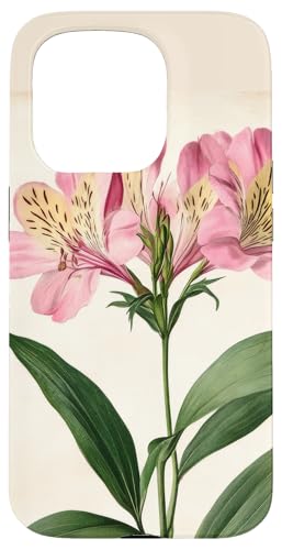 Alstroemeria Floral Vintage Wissenschaftliche Illustration Blume Hülle für iPhone 15 Pro Alstroemeria Floral Vintage Wissenschaftliche Illustration Blume Hülle für iPhone 15 Pro von Antique Flower Botanical Garden Floral DonaOnca