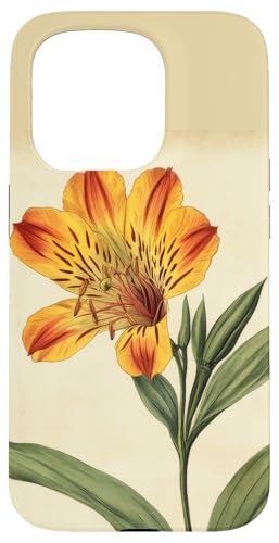Alstroemeria Floral Vintage Wissenschaftliche Illustration Blume Hülle für iPhone 15 Pro Alstroemeria Floral Vintage Wissenschaftliche Illustration Blume Hülle für iPhone 15 Pro von Antique Flower Botanical Garden Floral DonaOnca