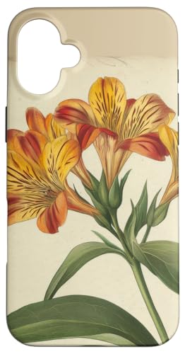 Alstroemeria Floral Vintage Wissenschaftliche Illustration Blume Hülle für iPhone 16 Plus Alstroemeria Floral Vintage Wissenschaftliche Illustration Blume Hülle für iPhone 16 Plus von Antique Flower Botanical Garden Floral DonaOnca