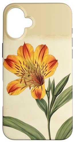 Alstroemeria Floral Vintage Wissenschaftliche Illustration Blume Hülle für iPhone 16 Plus Alstroemeria Floral Vintage Wissenschaftliche Illustration Blume Hülle für iPhone 16 Plus von Antique Flower Botanical Garden Floral DonaOnca
