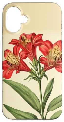 Alstroemeria Floral Vintage Wissenschaftliche Illustration Blume Hülle für iPhone 16 Plus Alstroemeria Floral Vintage Wissenschaftliche Illustration Blume Hülle für iPhone 16 Plus von Antique Flower Botanical Garden Floral DonaOnca