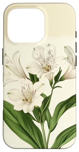Alstroemeria Floral Vintage Wissenschaftliche Illustration Blume Hülle für iPhone 16 Pro Alstroemeria Floral Vintage Wissenschaftliche Illustration Blume Hülle für iPhone 16 Pro von Antique Flower Botanical Garden Floral DonaOnca