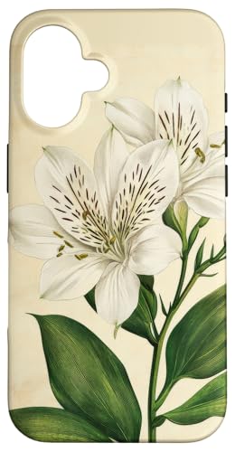 Alstroemeria Floral Vintage Wissenschaftliche Illustration Blume Hülle für iPhone 16 Alstroemeria Floral Vintage Wissenschaftliche Illustration Blume Hülle für iPhone 16 von Antique Flower Botanical Garden Floral DonaOnca