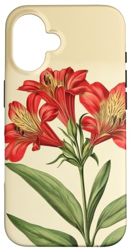 Alstroemeria Floral Vintage Wissenschaftliche Illustration Blume Hülle für iPhone 16 Alstroemeria Floral Vintage Wissenschaftliche Illustration Blume Hülle für iPhone 16 von Antique Flower Botanical Garden Floral DonaOnca