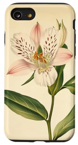 Alstroemeria Floral Vintage Wissenschaftliche Illustration Blume Hülle für iPhone SE (2020) / 7 / 8 von Antique Flower Botanical Garden Floral DonaOnca
