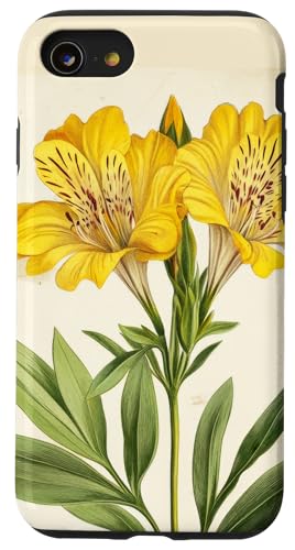 Alstroemeria Floral Vintage Wissenschaftliche Illustration Blume Hülle für iPhone SE (2020) / 7 / 8 von Antique Flower Botanical Garden Floral DonaOnca