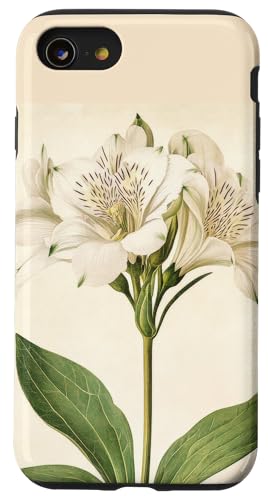 Alstroemeria Floral Vintage Wissenschaftliche Illustration Blume Hülle für iPhone SE (2020) / 7 / 8 von Antique Flower Botanical Garden Floral DonaOnca