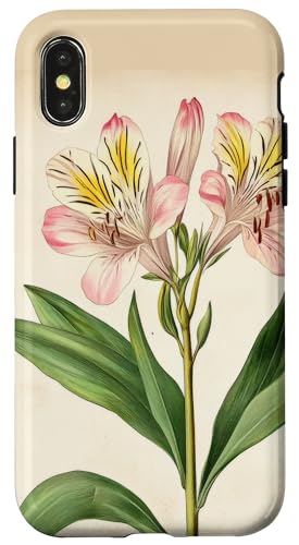 Alstroemeria Floral Vintage Wissenschaftliche Illustration Blume Hülle für iPhone X/XS Alstroemeria Floral Vintage Wissenschaftliche Illustration Blume Hülle für iPhone X/XS von Antique Flower Botanical Garden Floral DonaOnca