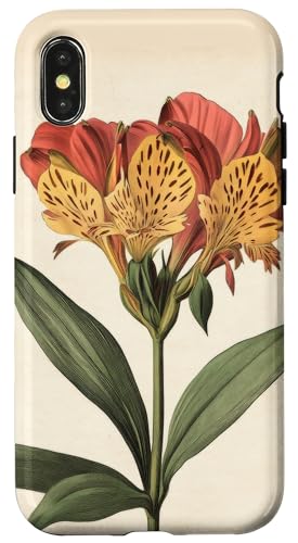 Alstroemeria Floral Vintage Wissenschaftliche Illustration Blume Hülle für iPhone X/XS Alstroemeria Floral Vintage Wissenschaftliche Illustration Blume Hülle für iPhone X/XS von Antique Flower Botanical Garden Floral DonaOnca