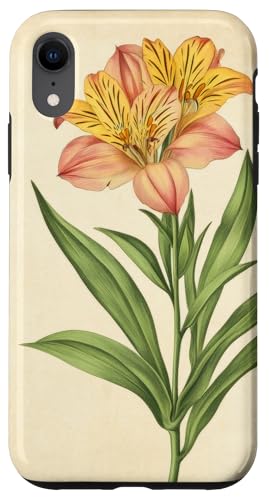 Alstroemeria Floral Vintage Wissenschaftliche Illustration Blume Hülle für iPhone XR Alstroemeria Floral Vintage Wissenschaftliche Illustration Blume Hülle für iPhone XR von Antique Flower Botanical Garden Floral DonaOnca